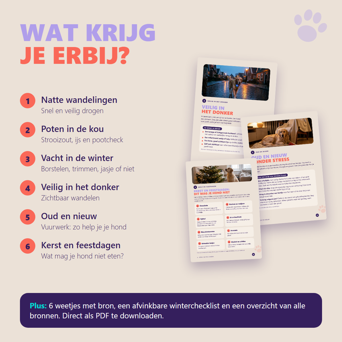 Wat krijg je erbij: natte wandelingen, poten, vacht, donker, oud en nieuw, kerst, weetjes en checklist